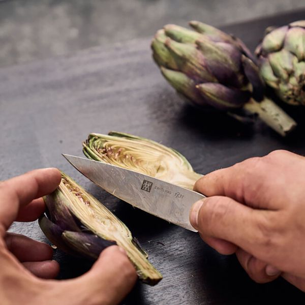 ZWILLING 1731 Spick & Garniermesser 10 cm, Ziricote