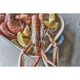 Staub Ceramique Ofenformenset, Keramik Kochgeschirr 3-tlg rechteckig Antik-Türkis